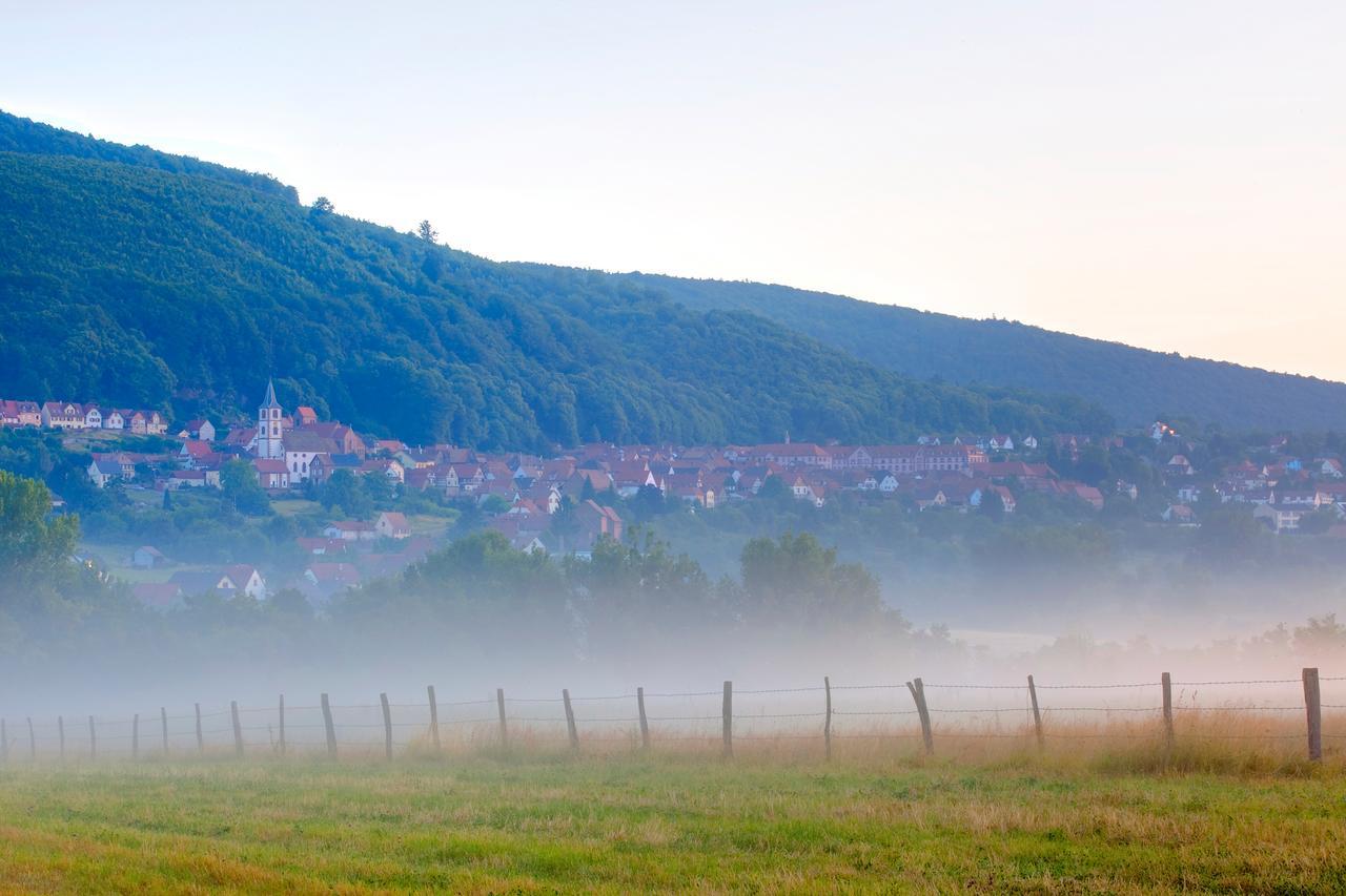 Hotellerie Du Couvent Oberbronn エクステリア 写真