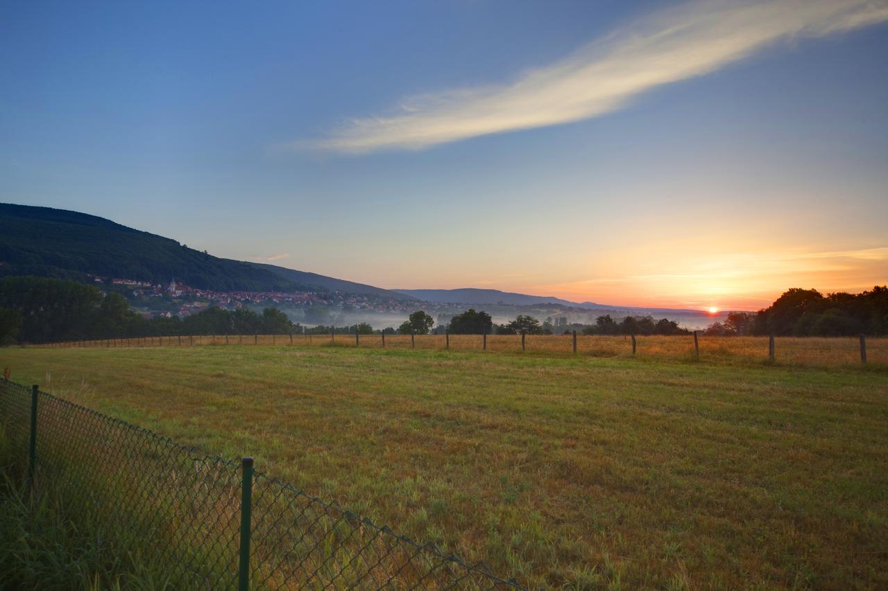 Hotellerie Du Couvent Oberbronn エクステリア 写真